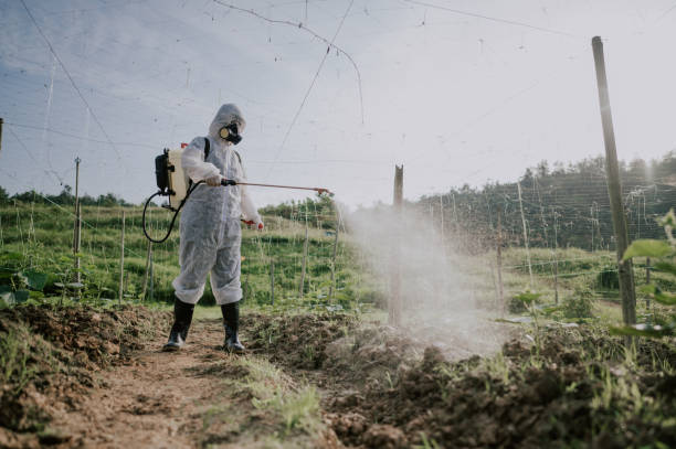 Best Mosquito Control Services  in La Mesilla, NM