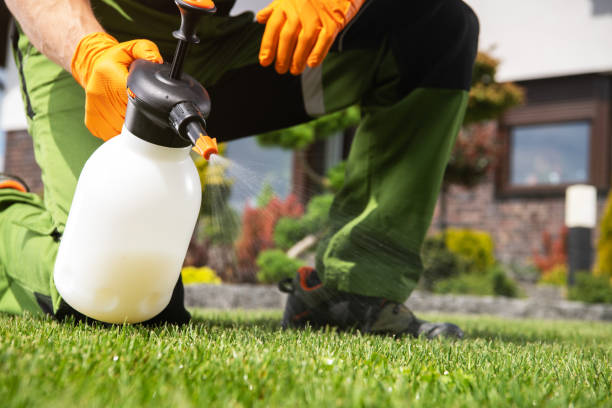Reliable La Mesilla, NM Pest Control Solutions