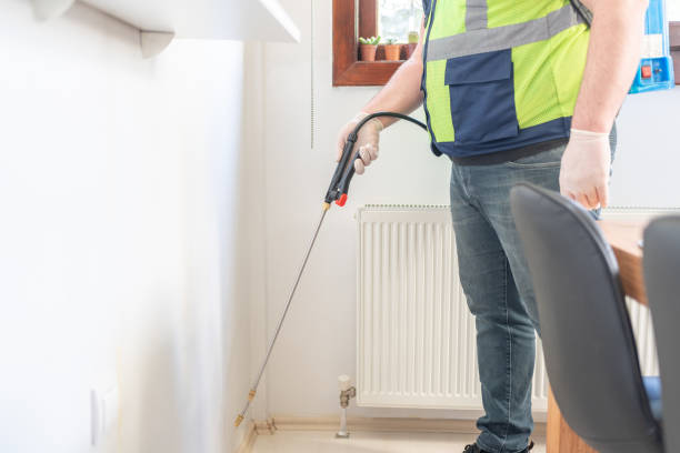 Best Pest Removal Services  in La Mesilla, NM
