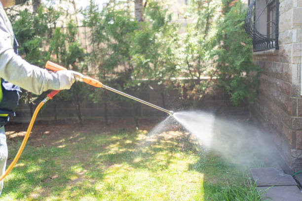 Pest Control for Restaurants in La Mesilla, NM