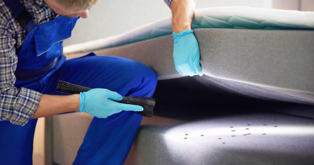 Best Pest Prevention Services  in La Mesilla, NM
